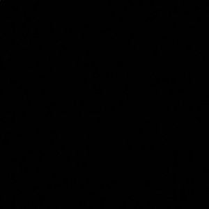 Meet your Posher, Ella